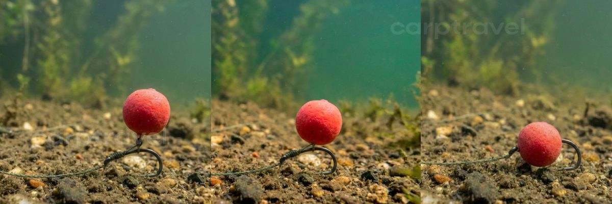 Плавающие бойлы CarpTravel в воде через 6, 12 и 24 часа