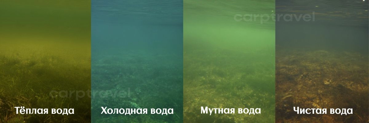 Поп-апы CarpTravel. Универсальное применение в различных условиях водоема