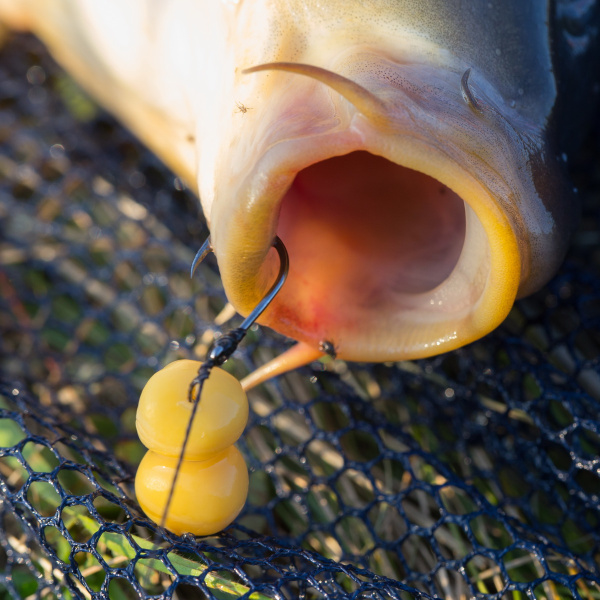2e4483eebd0ae64a92b2a33dd776cc7e