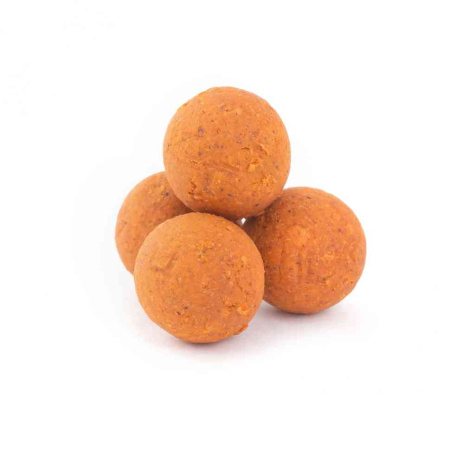 23604_3
